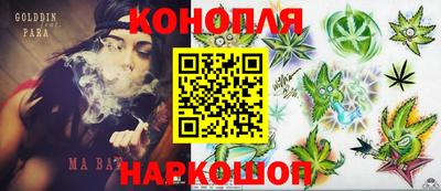 прущие грибы Будённовск