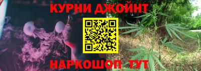 прущие грибы Будённовск